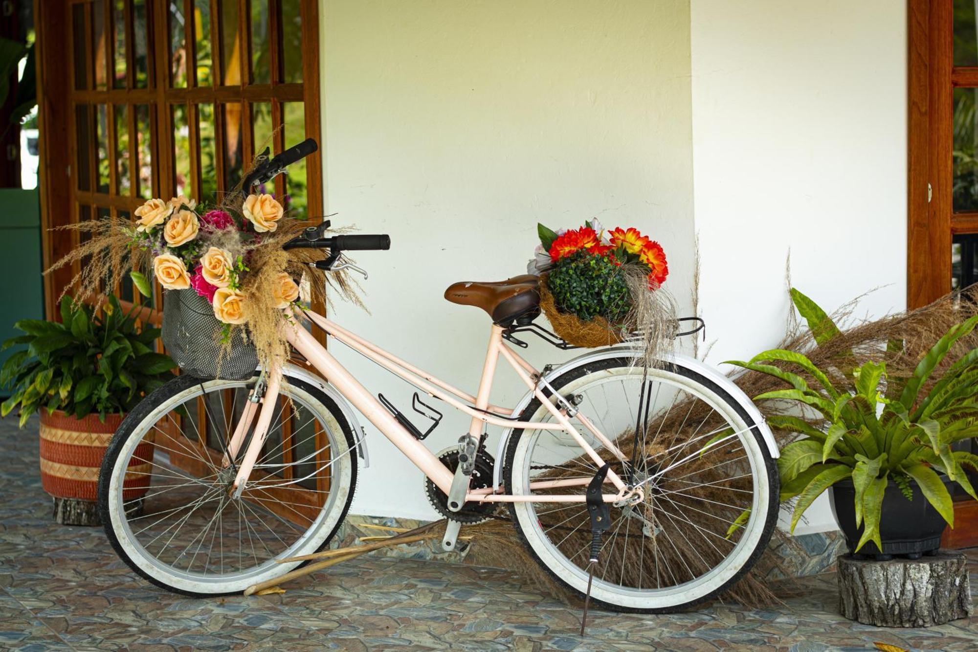 Hotel Campestre La Francesina Betania Exterior photo